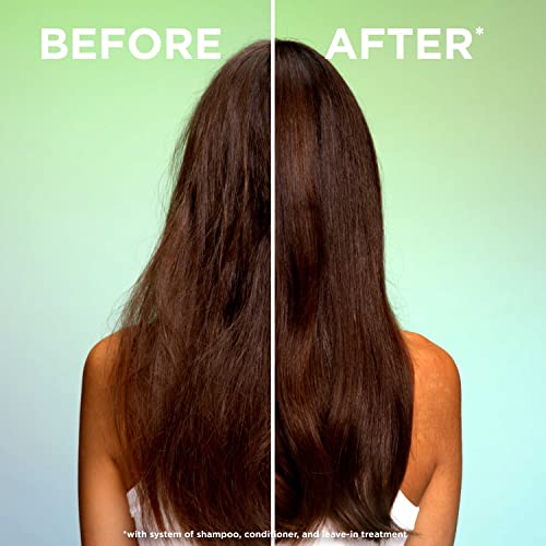 Garnier Fructis Pure Moisture Hydrating Shampoo for Dry Hair and Scalp, 33.8 Fl Oz, 1 Count (Packaging May Vary) (Pack of 2)