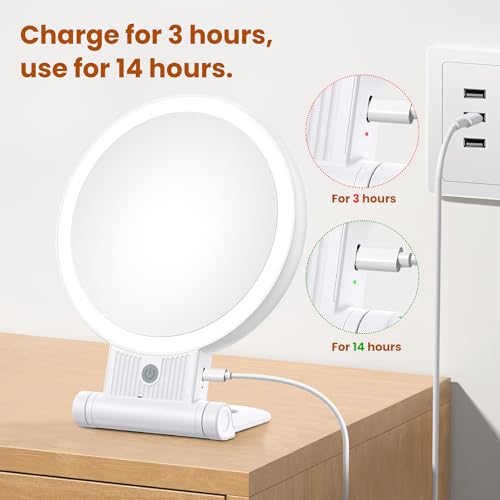 1X/30X Magnifying Makeup Mirror with Light, Rechargeable