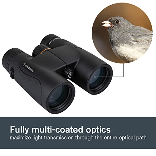 Celestron – Nature DX 8x42 Binoculars – Outdoor and Birding Binocular – Fully Multi-coated with BaK-4 Prisms – Rubber Armored – Fog & Waterproof Binoculars