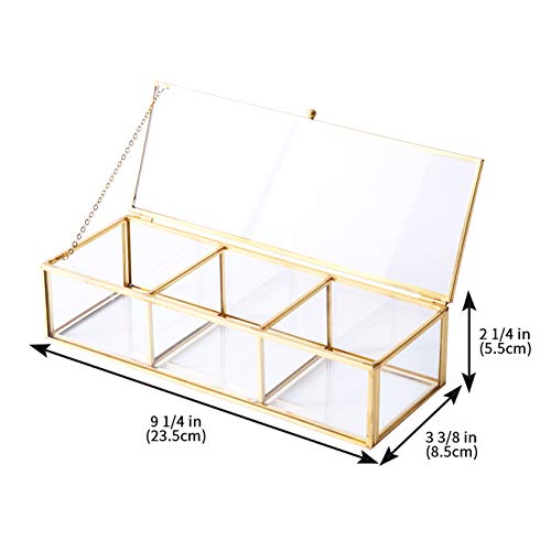 Vintage Golden Glass Lidded Box Clear Glass & Brass Metal Storage Jewelry and Cosmetic Makeup Organizer with Lid Beauty Display, Rectangle with 3 Compartment