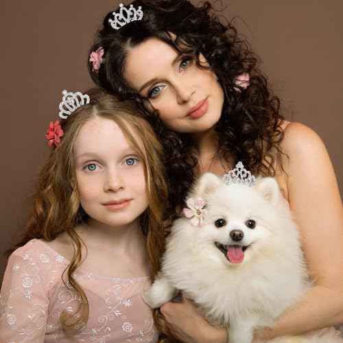 4pcs Crown with Blingbling Crown Hair Clip, 01-Silver