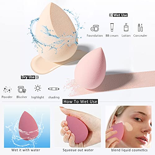 Leeshine Makeup Sponges Set - 4 Pcs Blending Beauty Blenders with Holder & Egg Case, Pink, Pack of 5 Variations