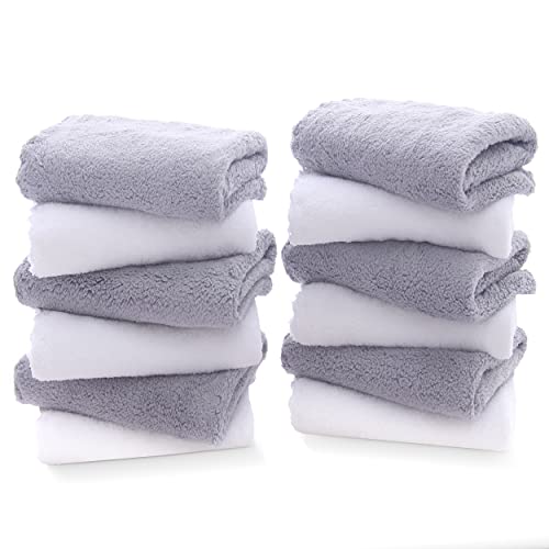 TENSTARS 12-Pack Microfiber Washcloths - Soft & Quick Drying