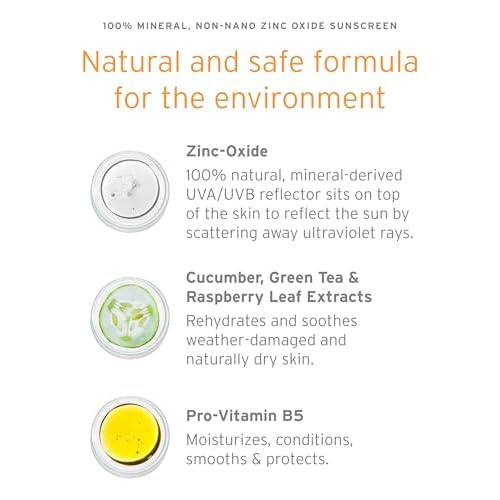 Kerstin Florian Sheer Mineral Body Sunscreen SPF 30 | Waterproof UVA/UVB Sun Protection with Natural Zinc Oxide | Reef Safe Fragrance Free Formula for Sensitive Skin to Moisturize & Protect | 6 fl oz