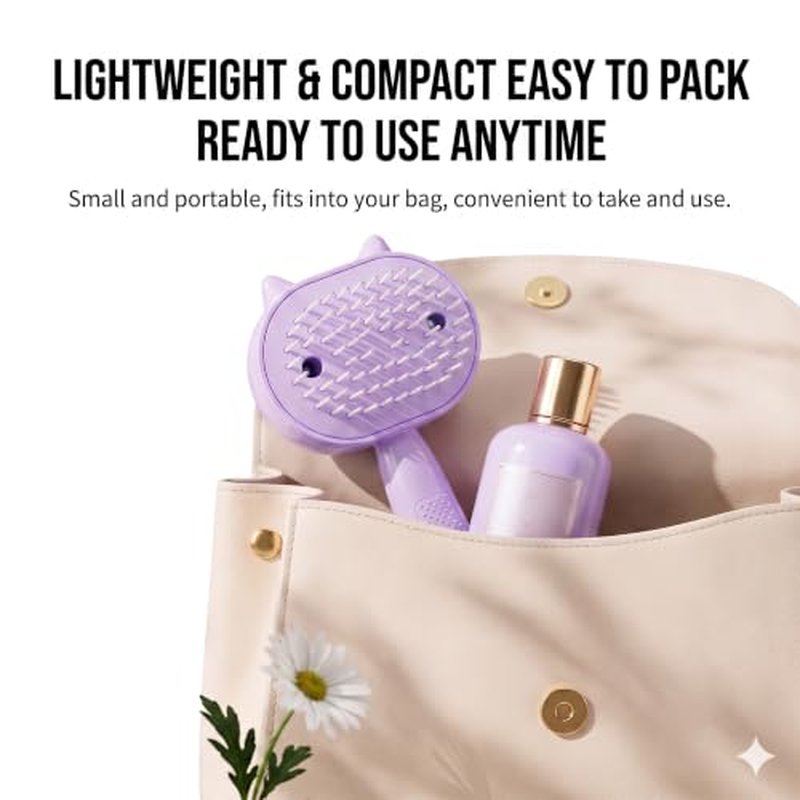 Electric Spray Air Cushion Massage Comb - 5 in 1 Hair Brush