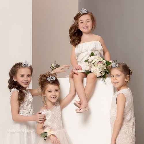 minkissy 4pcs Crown Comb Hair Clips Medium Girl Hair Clips Combs for Kids Cute Tiaras Small Rhinestone Tiara Mini Rhinestone Mini Tiara Crowns for Little Girls Kids Party Headdress Silver