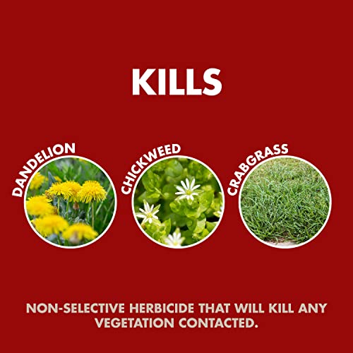 Spectracide Weed & Grass Killer with AccuShot Power Sprayer 1 Gal (Pack of 4)