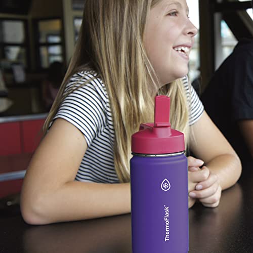 ThermoFlask 14 oz Double Wall Vacuum Insulated Stainless Steel 2-Pack of Water Bottles, Punch/Eggplant