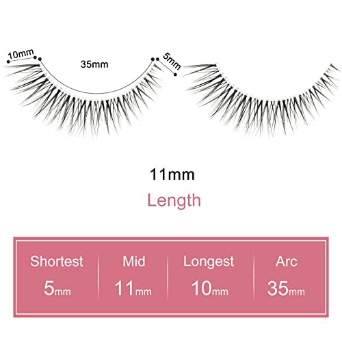 Butterfly Wing Cateye Lashes - Graduated 5-11mm Elegant