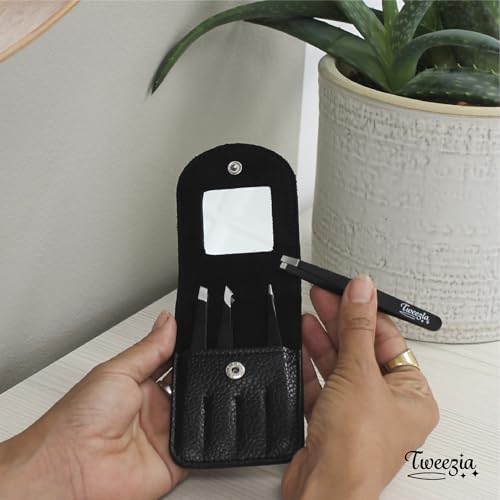 Stainless Steel Precision Tweezers Set, 4-Piece with Mirror Case