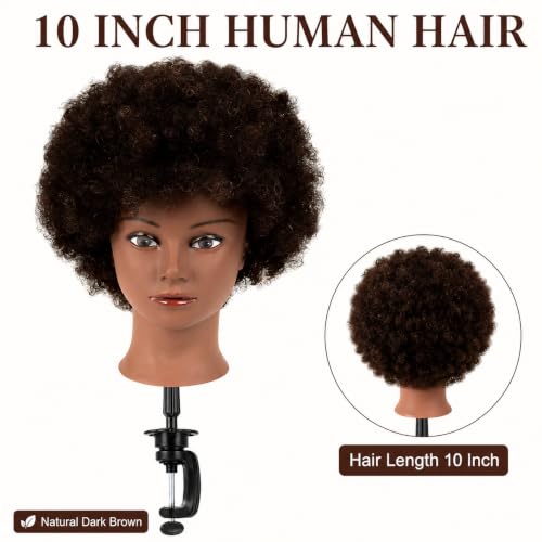 Morris 100% Human Hair Training Head with Clamp Stand