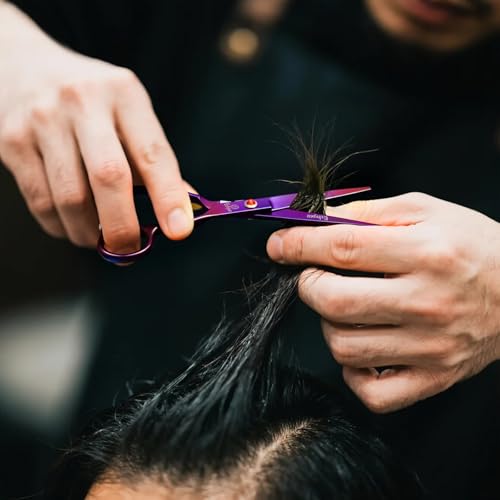 Professional Hair Cutting Scissors Kit - Straight & Thinning Shears