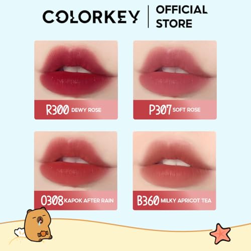 COLORKEY Capybara Soft Matte Lip Tint - Waterproof, Long-Lasting