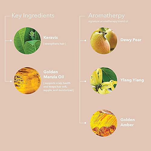 Pureology Nanoworks Gold Conditioner for Dry Color-Treated Hair