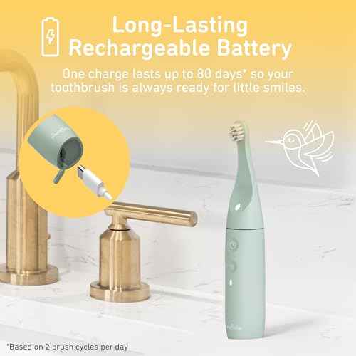 Pure Enrichment PureBaby Infant-to-Toddler Electric Toothbrush - Waterproof Baby & Toddler Toothbrush with Silicone & Bristle Heads, Sonic Vibration, & Timer - Ages 6 Mo-3 Yrs (Sage Green)