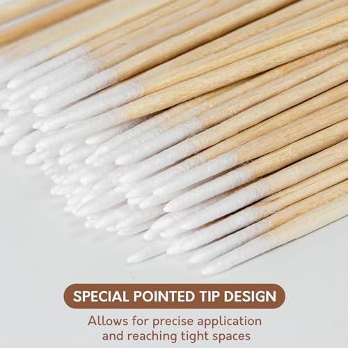 800 Pointed Cotton Swabs with Storage Case - Precision Tip