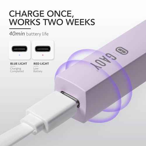 GAOY Handheld UV Light for Gel Nails, Mini Nail Lamp, Portable Cordless Rechargeable, Fast Curing, Pale Purple
