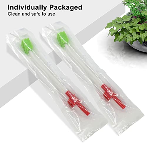 Wellgler's Oral Care Single Use Suction Swab with mouth swabs
