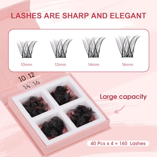 Lash Clusters 160 Pcs DIY Eyelash Extensions 10-16mm Wispy