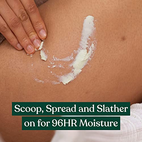 The Body Shop Shea Body Butter ? Hydrating & Moisturizing Skincare for Very Dry Skin ? Vegan ? 1.62 oz