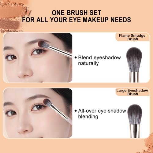 Eye Makeup Brush Set - 5Pcs Professional Eyeshadow & Eyebrow Brushes