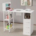 Annzoe Nail Desk with Electric Dust Collector & Storage