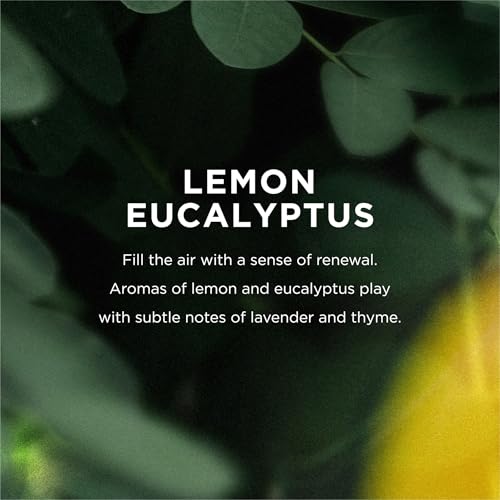 EO Liquid Hand Soap Refill, 1 Gallon, Lemon and Eucalyptus, Organic Plant-Based Gentle Cleanser with Pure Essential Oils