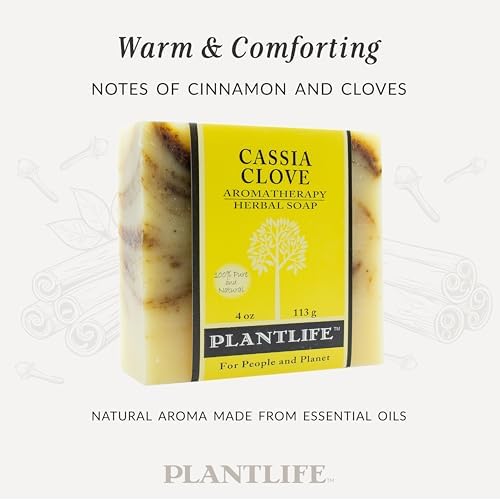 Plantlife Cassia Clove Bar Soap - Moisturizing and Soothing Soap for Your Skin - Hand Crafted Using Plant-Based Ingredients - Made in California 4oz Bar