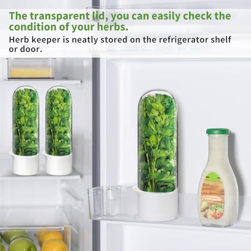 UEOZ 3PCS Herb Keeper for Refrigerator - Fresh Cilantro & Vegetable Storage Container Set