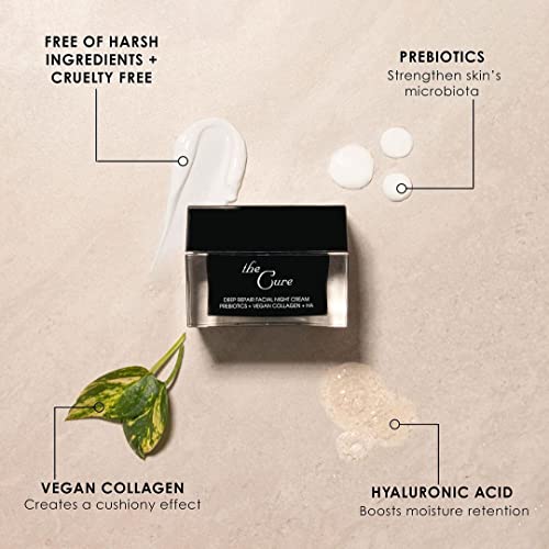 Deborah Lippmann The Cure Deep Repair Facial Night Cream | For Softer, Plumper, Hydrated Skin | Vegan Formula | No Animal Testing