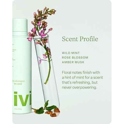 Divi Dry Shampoo Spray for Women - Formulated to Absorb Oil, Balance the Scalp and Extend Time Between Washes - Free of Benzene, Butane, Propane and Talc