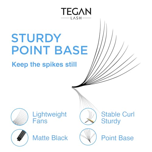 TEGAN LASH 500 Promade Fans Volume Eyelash Extensions, Handmade Loose False Eyelashes, From 3D - 16D, 0.03/0.05/0.07 Thickness, C/CC/D Curl, 9-15mm Length, Pestanas Pelo A Pelo (10D-0.05-D-12)