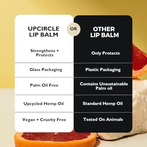 UpCircle Lip Balm with Hemp Seed Oil + Shea Butter 15ml ? Hydrating + Plumping ? Rosehip + Grapefruit Oil To Soothe Dry Lips - Natural, Vegan + Cruelty-Free