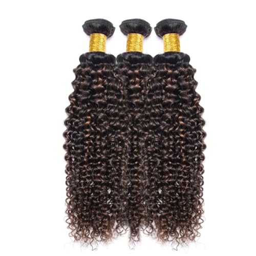 Fridnae Ombre Kinky Curly Hair Bundles P1B30 - 3 Pack, 16-20 Inch