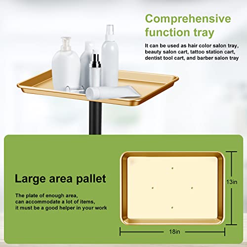 Golden Salon Adjustable Height Aluminum Rolling Tray for Hair & Tattoo Professionals (Golden)