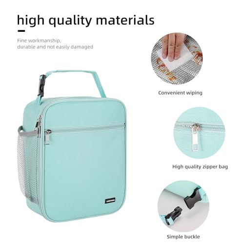 AYEANY Lunch box Lunch bag for men women Lunchbox Lunch bags Insulated Lunch bag Lunch box cooler (Light grey)