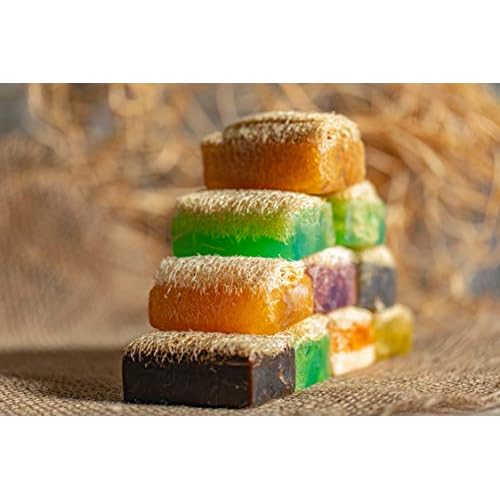 SABUN CO. Activated Charcoal - Natural Exfoliating Loofah Soap Bar - Handmade, Moisturizing Soap with Loofah Inside | Face & Body Scrub Bar [4.40 oz - 125 gr]