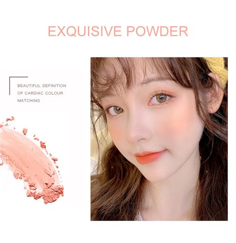 Embossed Powder Blush Palette - Pink Natural Flush Makeup