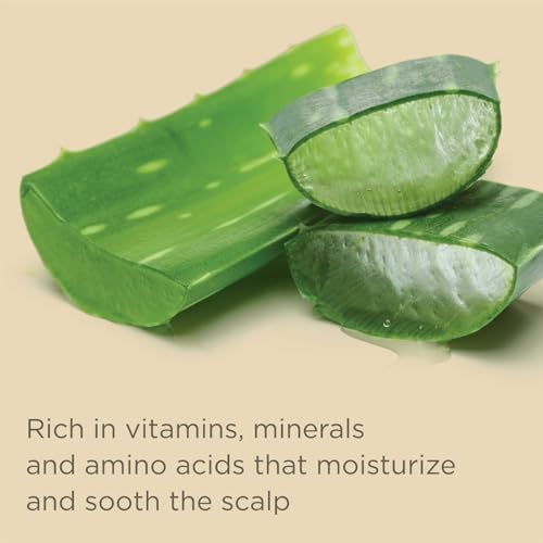 Hairitage Gentle Daily Hydrating and Moisturizing Shampoo For Dry Hair with Jojoba Oil + Aloe Vera - Ultra-Mild + Moisture-Rich - Improves Dry, Brittle Strands, 13 fl. oz.