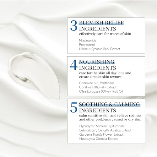 Niacinamide Face Moisturizer Set with Ceramide & Panthenol - Lightweight Gel-Cream for Hydration