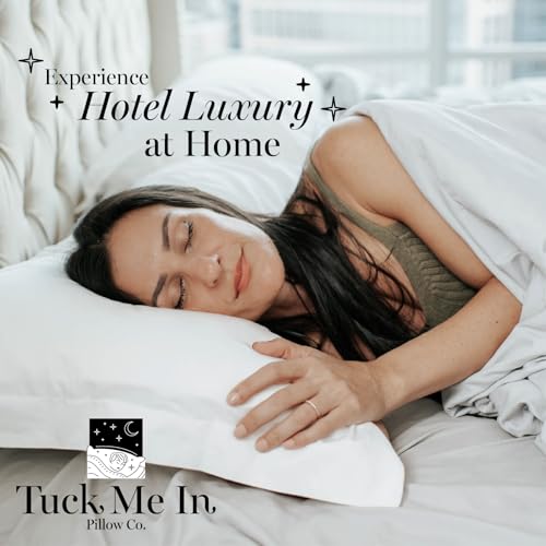 Houseify Queen Down Alternative Pillows Set of 2 - Hypoallergenic & Breathable