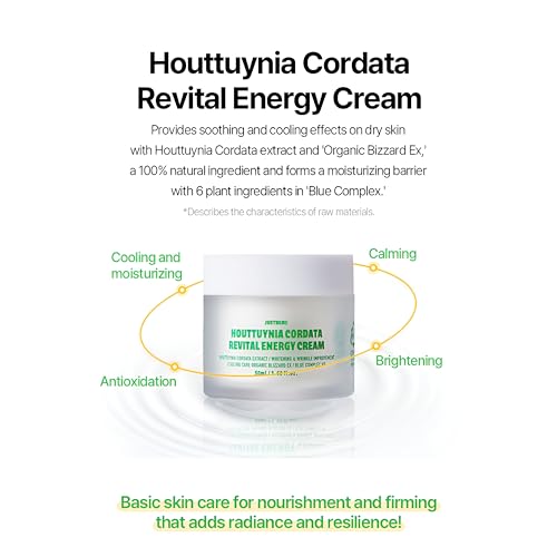 Houttuynia Cordata Revital Energy Cream/Hydrating Face Moisturizer for Dry, Sensitive Skin, Korean Skincare for Men and Women (50ml / 1.09 fl oz)