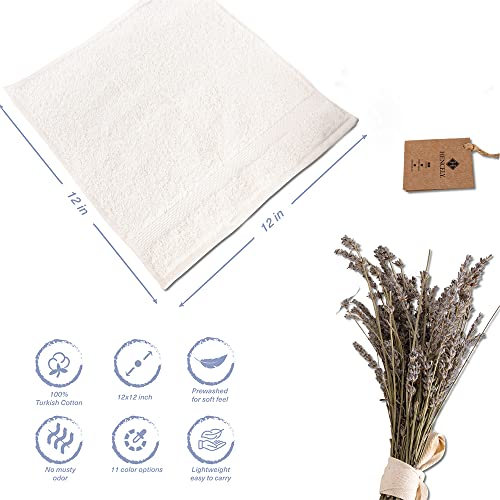 Hencely Premium 6-Pack Washcloths 12x12 Inches Soft Turkish Cotton High Absorbent and Quick Dry Dishtowel for Kitchen and Bath (Wash Cloth 6 Pack, Ivory)