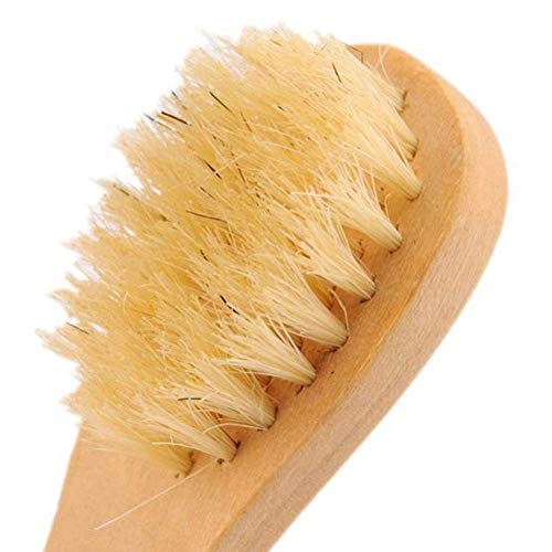 Natural Bristle Facial Brush with Wooden Handle (Pack of 2)