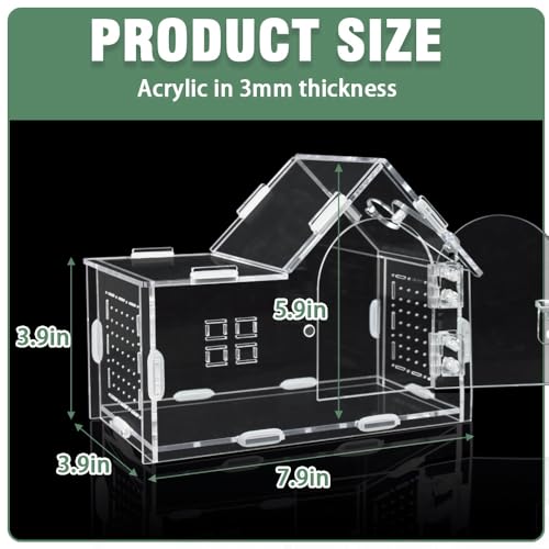 Acrylic Jumping Spider Enclosure House-Shaped Terrarium - Transparent, Breeding-Only Version