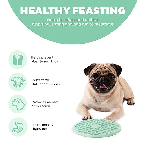 Outward Hound Fun Feeder Slo Tray Slow Feeder Dog Bowl for French Bulldogs and Other Brachycephalic Breeds or Flat-Faced Breeds, One Size, Mint Green