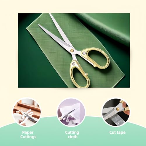 6.3 Inch Stainless Steel Office Scissors - Ambidextrous Multi-Purpose Shears