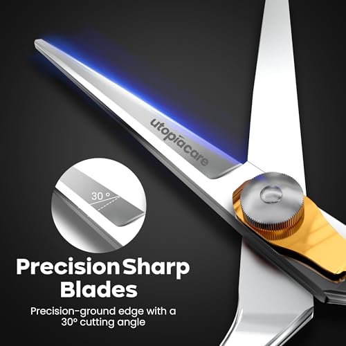 Professional Hair Cutting Scissors - 6.5 Inch Salon Barber Shears - Silver
