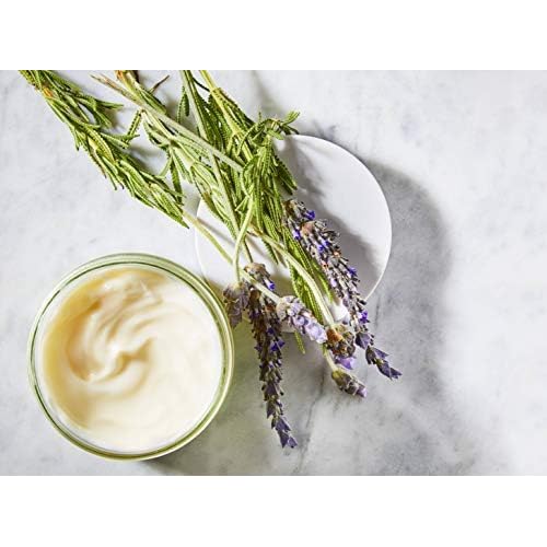 Lavido - Natural Aromatic Body Lotion | Non-Toxic, Clean Skincare (Lavender, 8.45 fl oz | 250 ml)