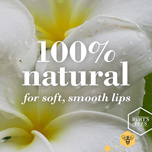 Burt's Bees 100% Natural Moisturizing Lip Balm, Mango Beeswax & Fruit Extracts - 12 Tubes